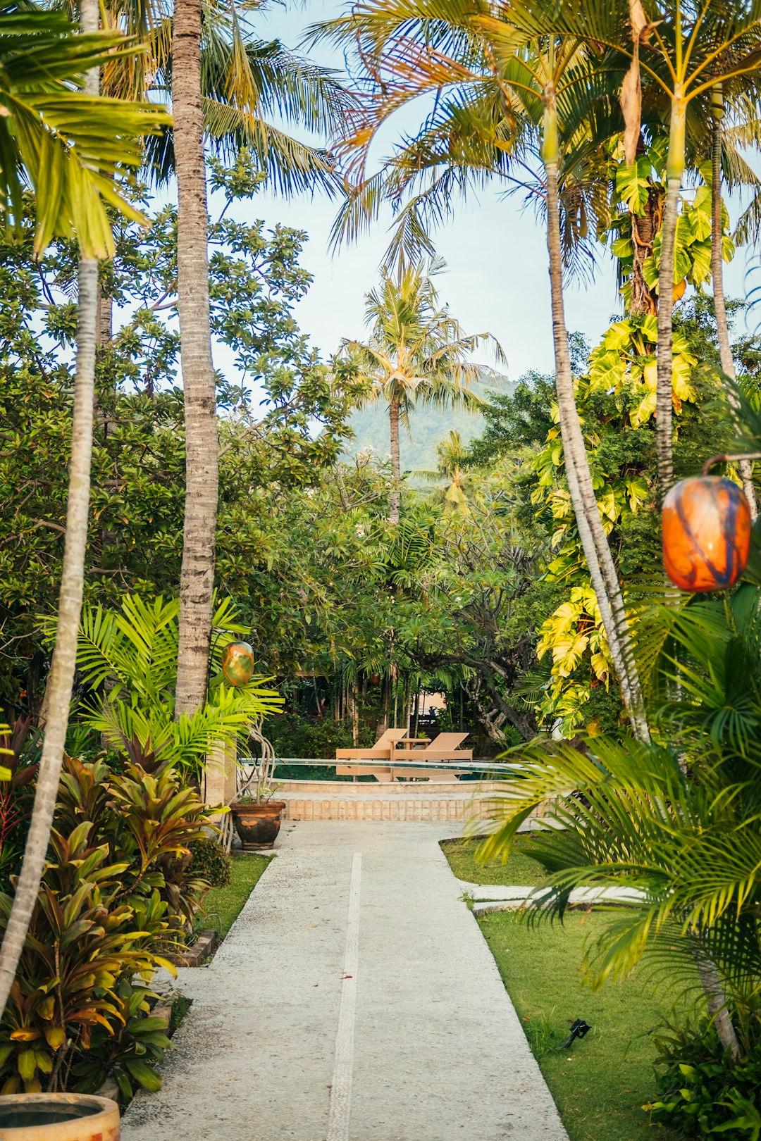 a-pathway-through-a-tropical-garden-with-palm-trees-isigp1rkmz4